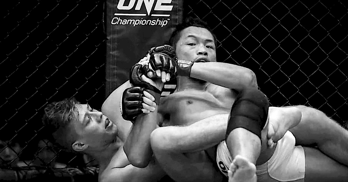 Mixed Martial Arts (MMA) in der Kampfsportschule German Top Team Reutlingen, Herrenberg und Böblingen